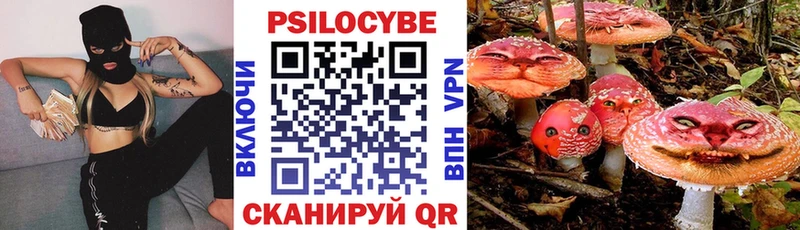 где купить наркоту  Отрадное  Псилоцибиновые грибы Magic Shrooms 