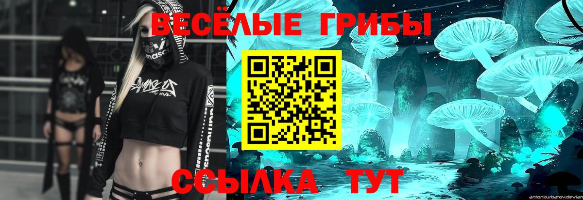 Псилоцибиновые грибы Psilocybine cubensis  Псилоцибиновые грибы Psilocybine cubensis  Отрадное  Вход с VPN 