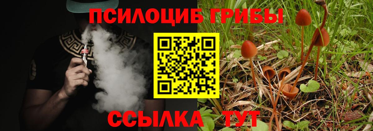 Псилоцибиновые грибы мухоморы Отрадное